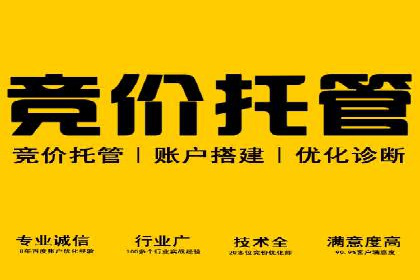 行业专家眼中的sem竞价推广托管策略